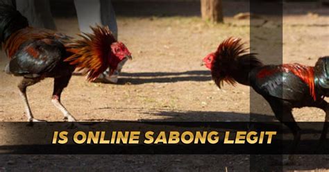 sabong warrior live|Games.